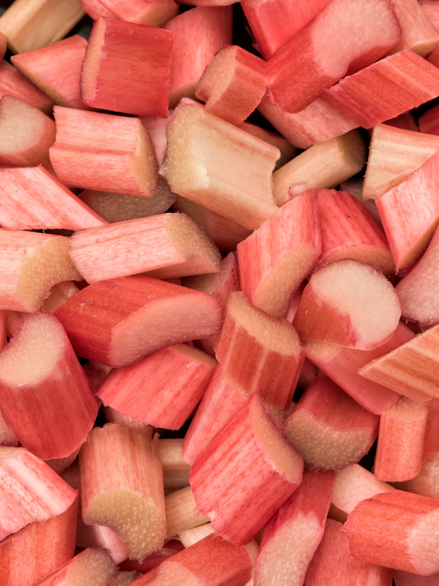 Bougie parfumée Rhubarbe DIPTYQUE